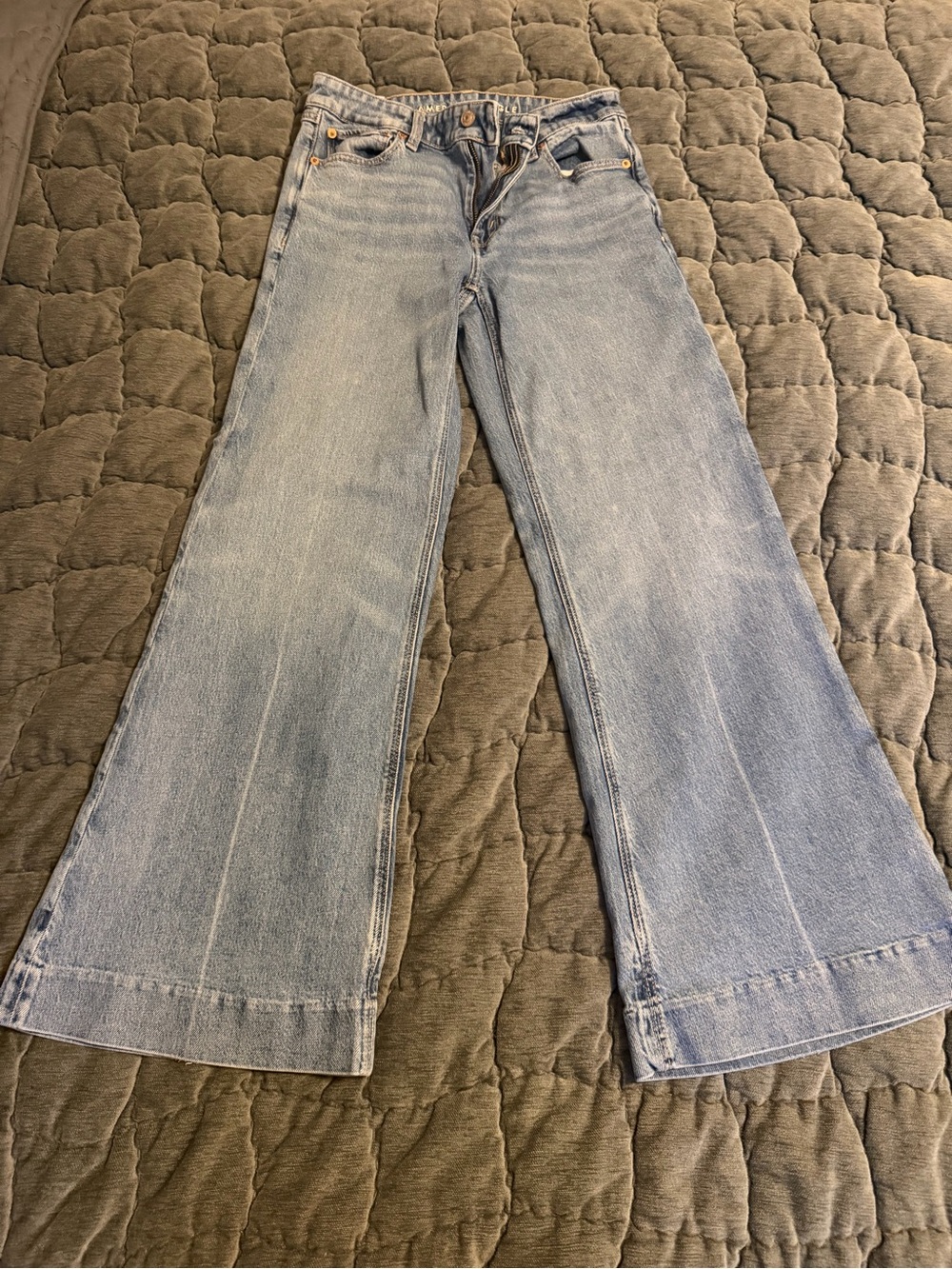 American Eagle Outfitters Light Blue Wide Leg Jeans